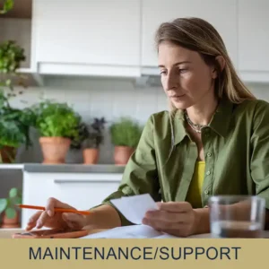 Divorce Services Maintenance and Support